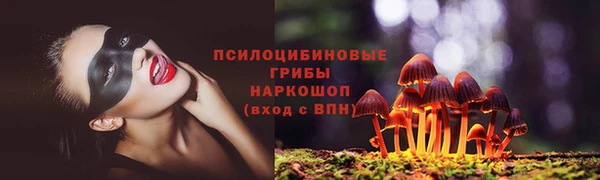 прущий лед Алексин