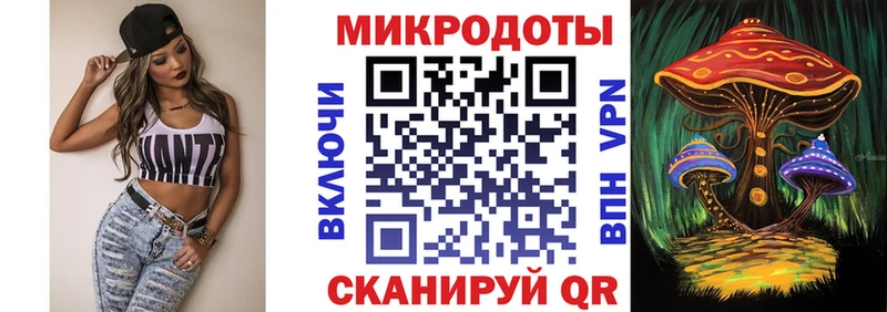 где найти   Асино  Галлюциногенные грибы Psilocybe 