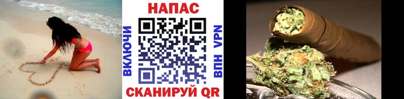 Бошки марихуана Amnesia  Асино 
